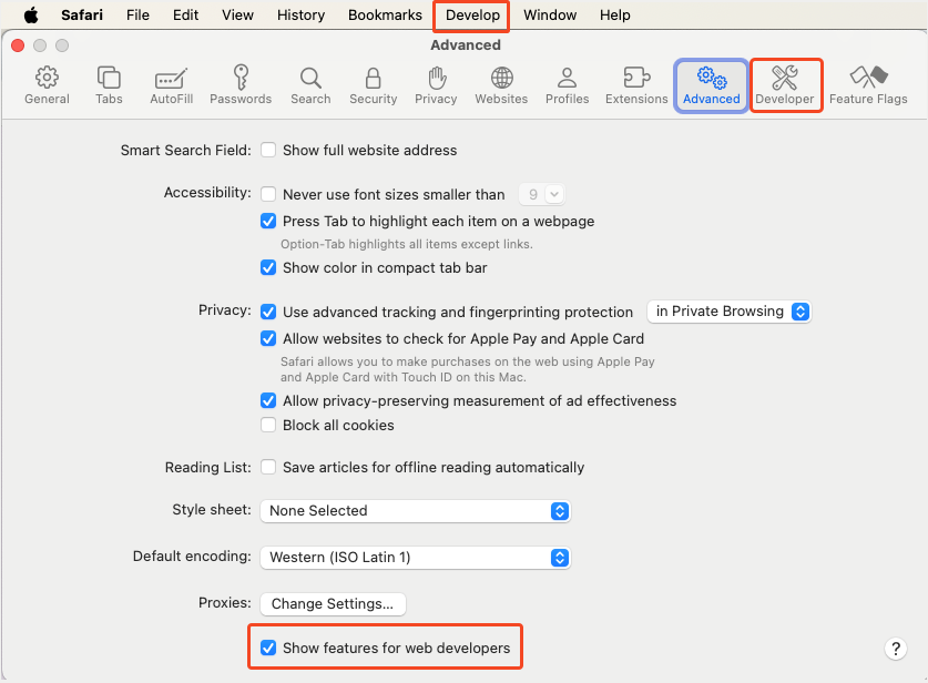 enable developer tools on safari